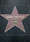 kermit_the_frog