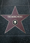 the_munchkins