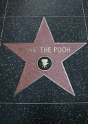 winnie_the_pooh