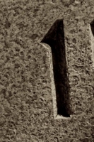 1_9_sepia_nyc