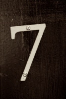 7_9_sepia_nyc