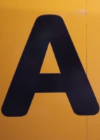 a_1_color_nyc