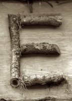 e_10_toronto_sepia