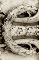 e_11_london_sepia