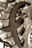 f_7_london_sepia