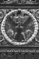 o_12_bw_nyc
