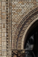 r_8_color_nyc