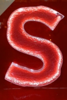 s_17_london_color