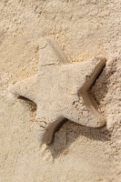 star_2_caribbean_color