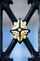 x_7_london_color