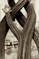 y_2_london_sepia