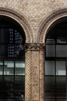 y_6_color_nyc