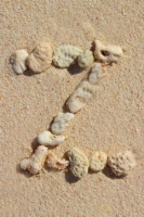 z_3_caribbean_color