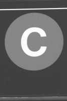 c_13_bw_nyc
