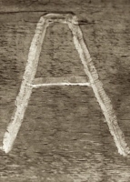 a_13_toronto_sepia