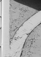 bw_r_5jpg
