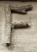 f_6_toronto_sepia
