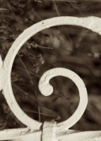 g_7_toronto_sepia