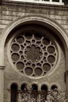 o_15_sepia_nyc