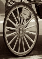 o_1_sepia_nyc
