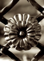o_9_toronto_sepia