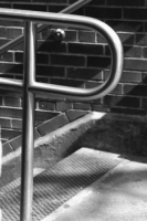 p_7_bw_nyc