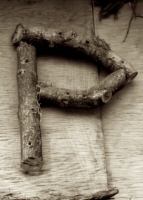p_8_toronto_sepia