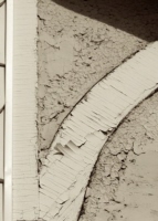 r_5_toronto_sepia