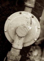 sepia_q_2