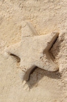 star_2_caribbean_color