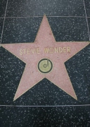 stevie_wonder