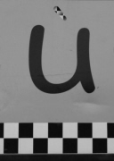 u_1_accent_bw