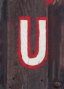 u_6_kids