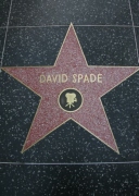 david_spade