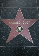 donald_duck