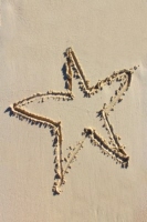 star_caribbean_color