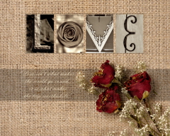 three_vintage_roses