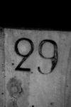 The Number - 29 - Numbers - Black & White