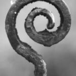 The Letter  @ - Black & White