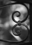 The Letter b_4 - Black & White