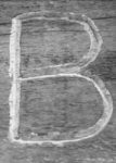The Letter b_5- Black & White