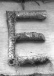 The Letter e_ 10- Black & White