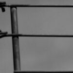 The Letter e_ 6- Black & White