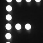 The Letter f_ 7- Black & White