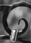 The Letter g_6 - Black & White