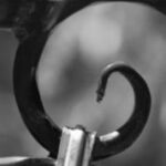 The Letter g_6 - Black & White