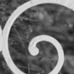 The Letter g_7 - Black & White