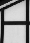 The Letter h_5 - Black & White