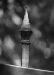 The Letter i_3 - Black & White
