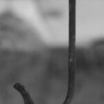 The Letter j_5 - Black & White